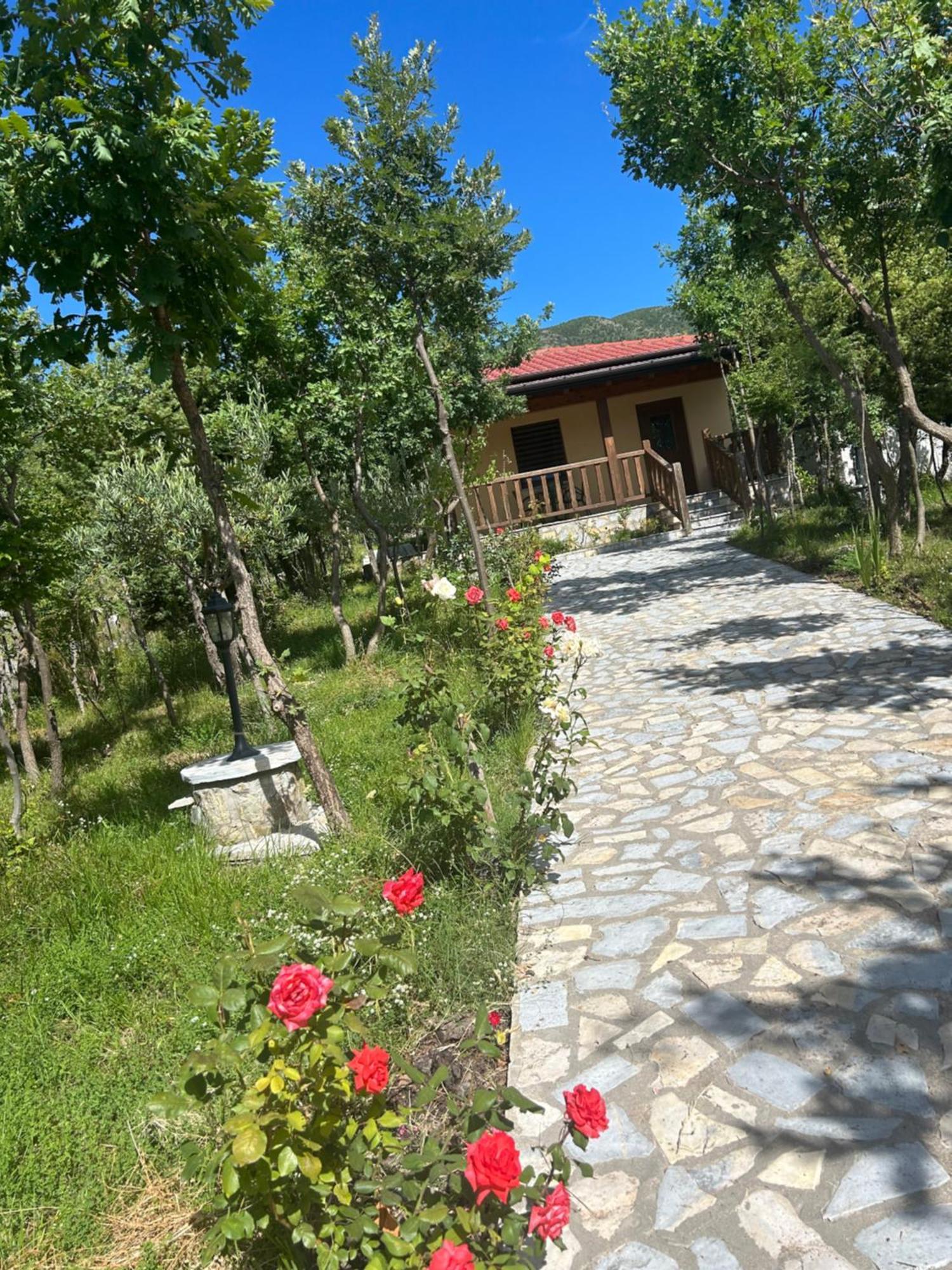 Hani I Leks Agroturizem Lezhë Zewnętrze zdjęcie